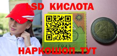 прущие крисы Будённовск