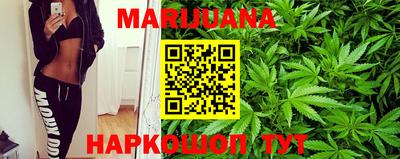 прущие крисы Будённовск