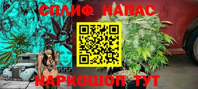 прущие крисы Будённовск