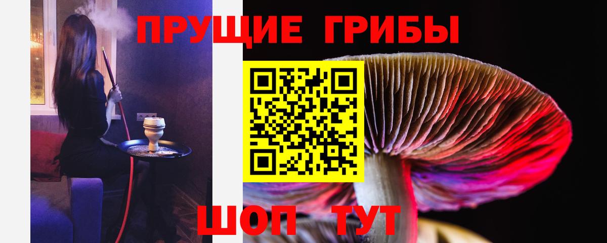 Галлюциногенные грибы Cubensis Нефтекумск