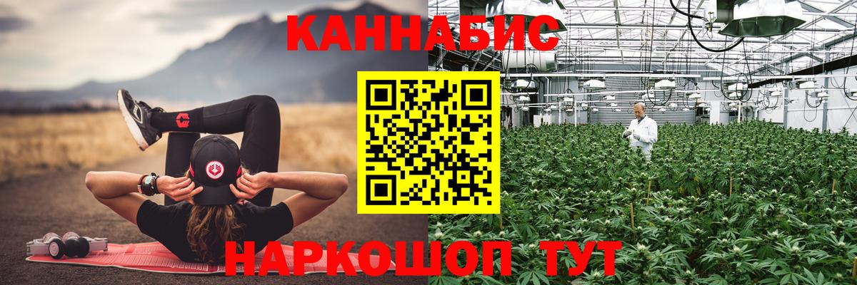 Бошки марихуана SATIVA & INDICA Нефтекумск